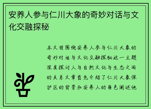 安养人参与仁川大象的奇妙对话与文化交融探秘